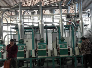 產(chǎn)品名稱：日加工面粉10噸--30噸成套設(shè)備
產(chǎn)品型號(hào)：
產(chǎn)品規(guī)格：