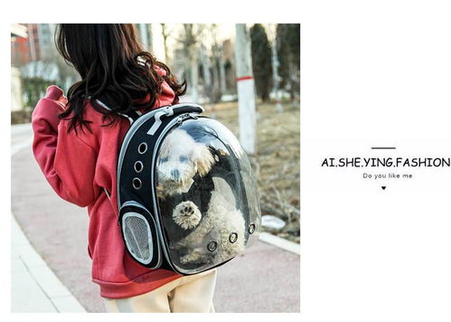 便攜透明寵物背包 湯河店太空貓包艙，出行新選擇